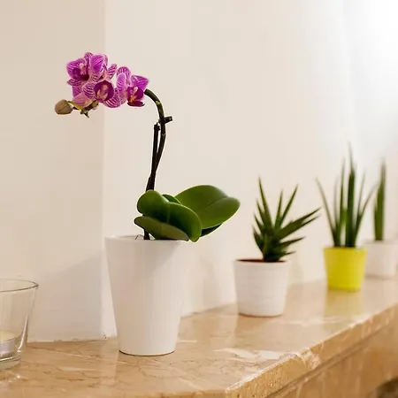 Gasthof Ginjinha House - 4 - Bairro Alto - With Ac By Lisbeyond